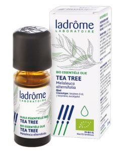 Tea tree huile essentielle (Melaleuca alternifolia)